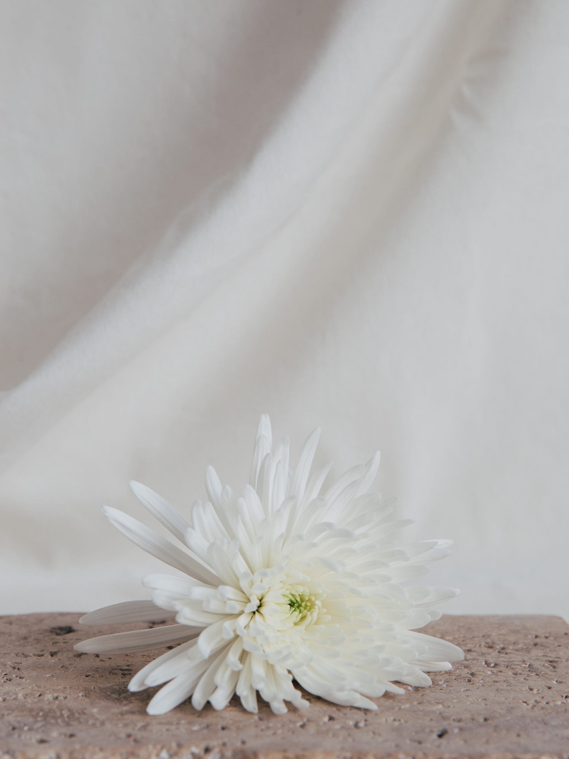 Multi-day destination wedding celebration in Spain