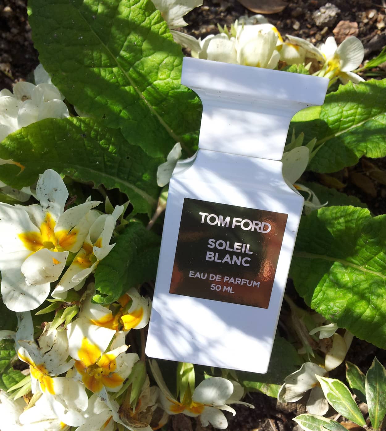 Soleil Blanc de Tom Ford, perfume para boda con notas de Coco de Mer y Ylang Ylang
