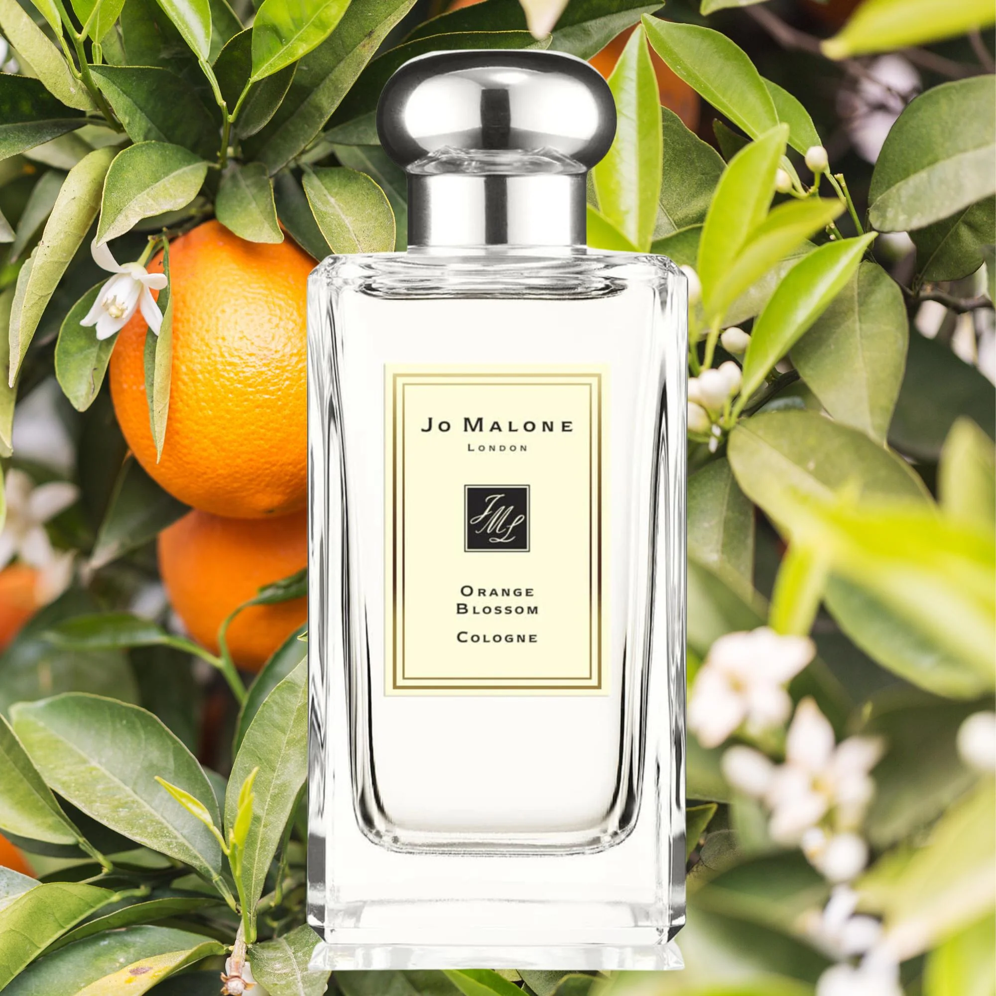 Botella de perfume Orange Blossom de Jo Malone con notas de flor de clementina, azahar y lirio de agua, ideal como perfume para novia.