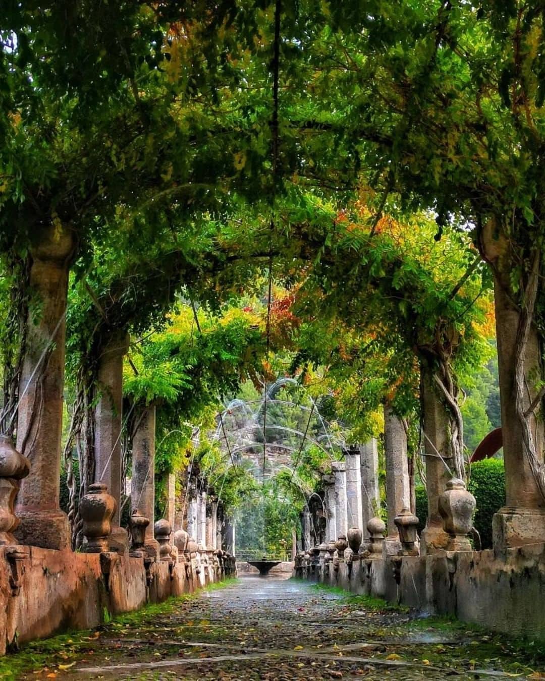 Arco de vegetación sobre columnas en los jardines de Alfabia en Mallorca.