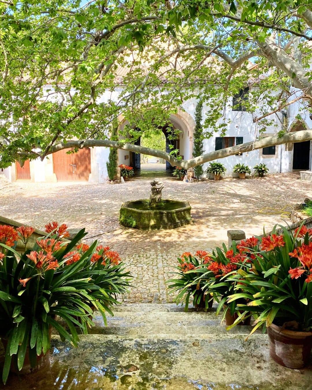 Encantadora plaza con fuente central en los jardines de Alfabia en Mallorca, rodeada de coloridas flores.
