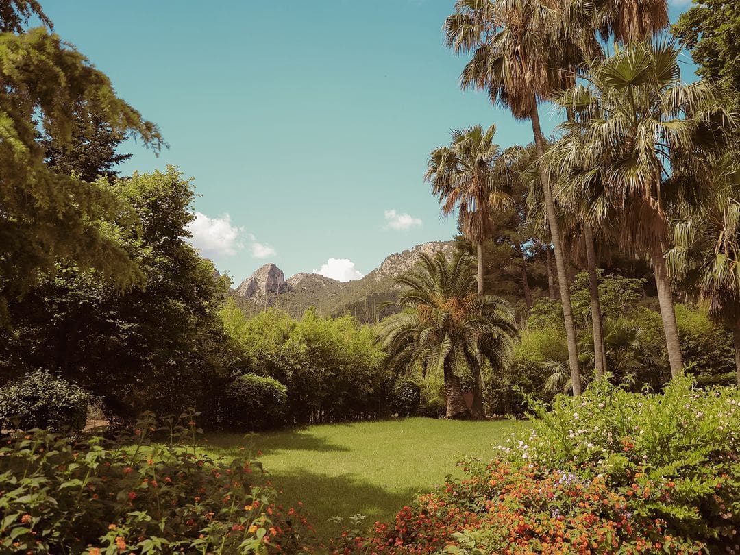 Jardín de los jardines de Alfabia en Mallorca con vistas panorámicas a la majestuosa Sierra de Tramuntana.