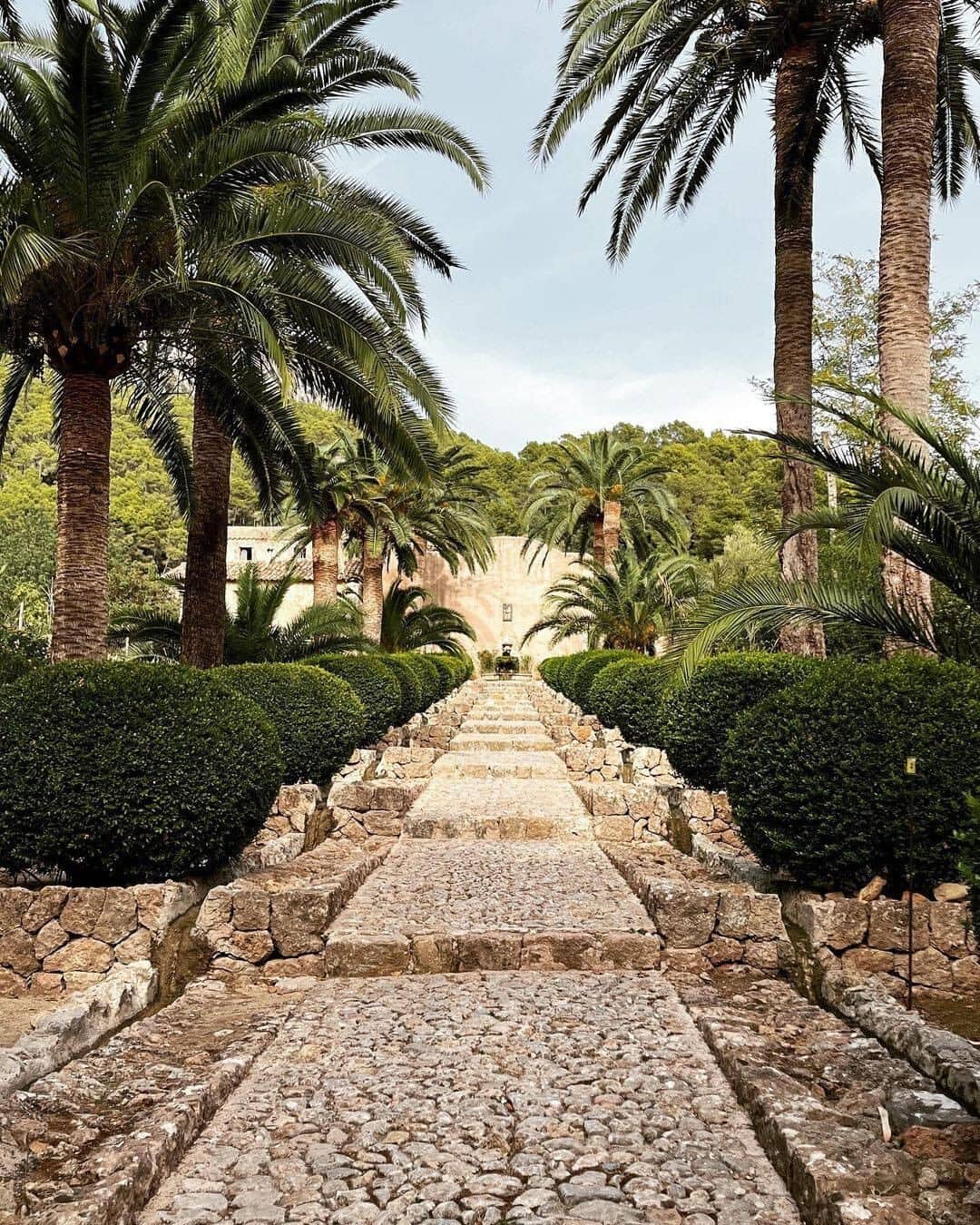 Pintoresco pasillo de piedra en los jardines de Alfabia en Mallorca, rodeado de exuberante vegetación y palmeras.