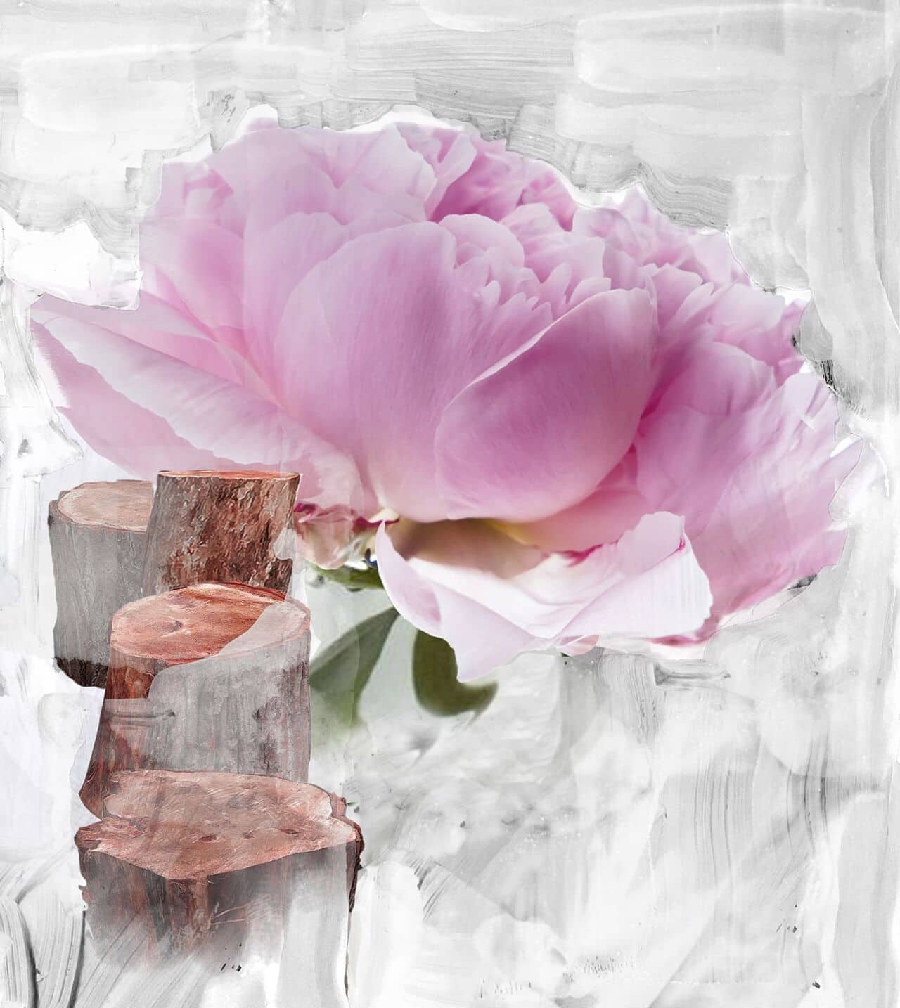 Ingredientes naturales como rosa Centifolia, peonía y sándalo, evocando el perfume Blanche de Byredo para novia