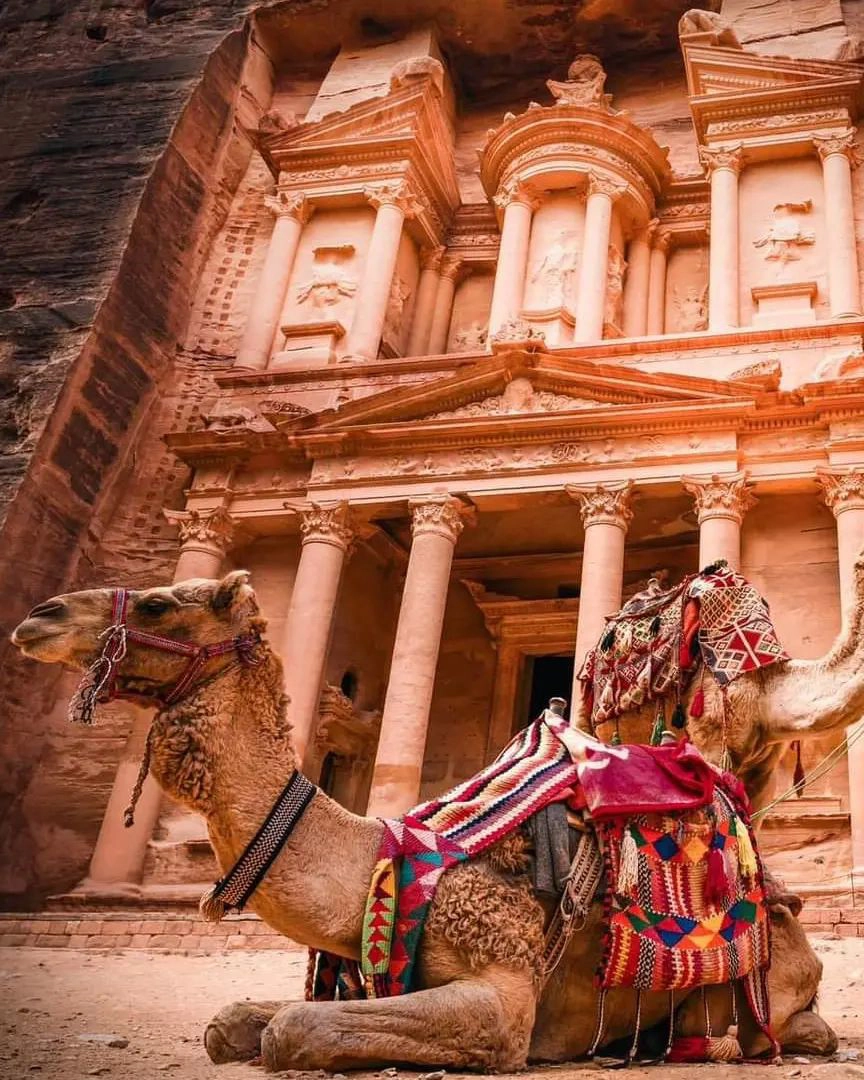 Dos camellos descansando con la ciudad de Petra al fondo, escenario para una luna de miel en Jordania