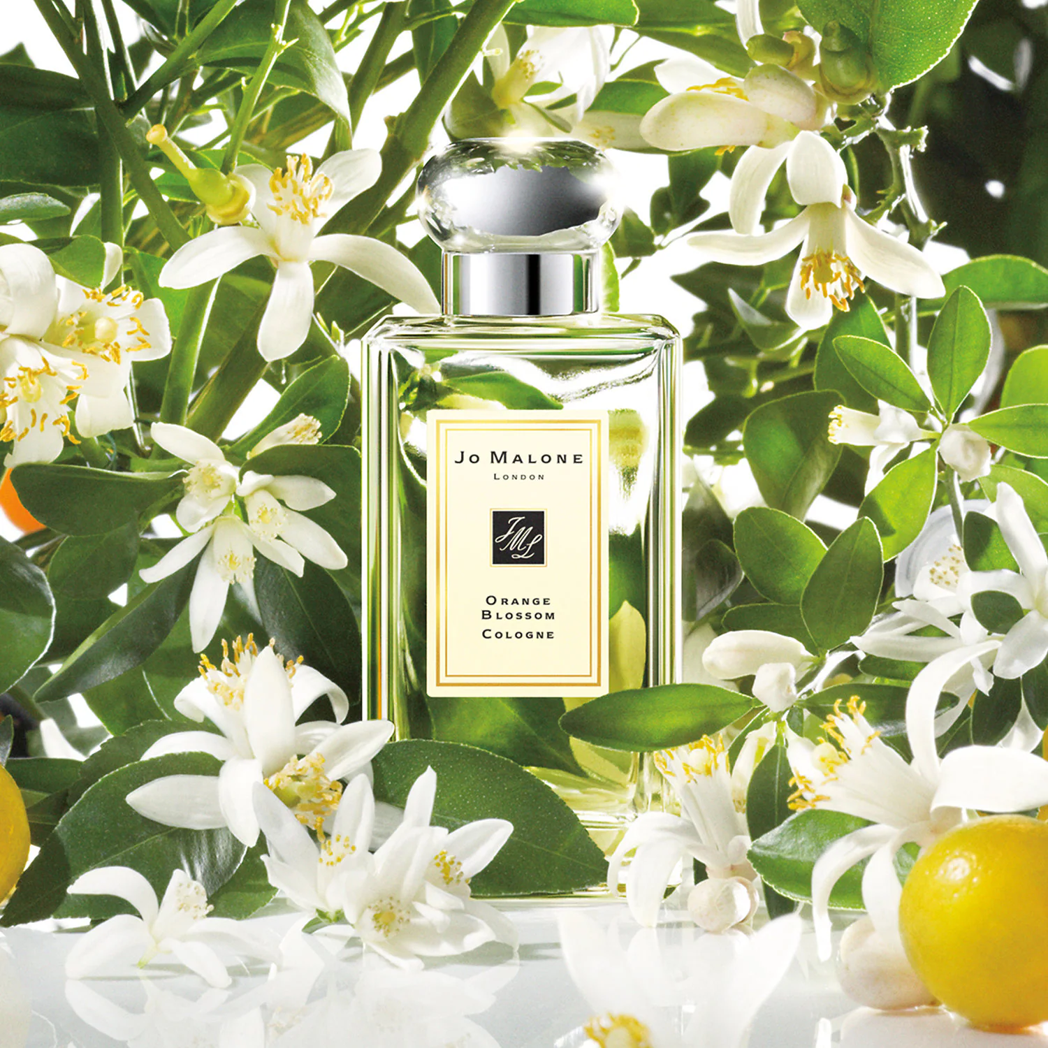 Fragancia Orange Blossom de Jo Malone con acordes de clementina y azahar, recomendada como perfume para boda.