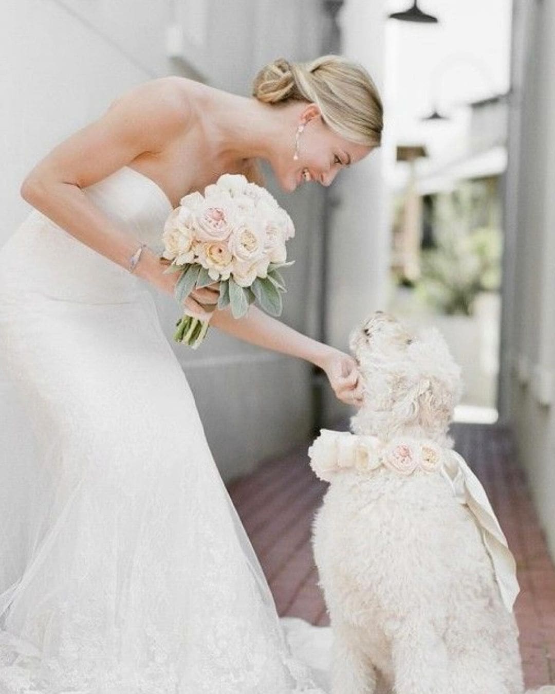 Novia sonriente acariciando a su perro blanco, sosteniendo un ramo de novia blanco